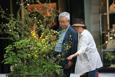 丸の内ベンチユニット｜緑化形式ごとの事例 - 5×緑（ゴバイミドリ）